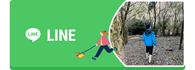 sp_bnrhalf_line